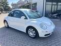 Volkswagen New Beetle 1.6 102cv FL - thumbnail 3