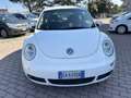 Volkswagen New Beetle 1.6 102cv FL - thumbnail 2