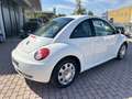 Volkswagen New Beetle 1.6 102cv FL - thumbnail 5