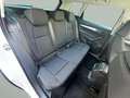 Skoda Karoq 2.0TDI AdBlue Ambition 4x4 DSG 110kW Weiß - thumbnail 12