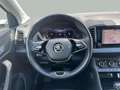 Skoda Karoq 2.0TDI AdBlue Ambition 4x4 DSG 110kW Weiß - thumbnail 15