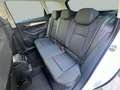 Skoda Karoq 2.0TDI AdBlue Ambition 4x4 DSG 110kW Weiß - thumbnail 11
