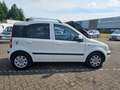 Fiat Panda 1.2 Edizione Cool (bak maakt lawaai) Wit - thumbnail 7