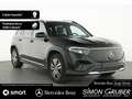 Mercedes-Benz EQB 250 + Progressive LED Kamera 7 Sitze Mod 2025 Schwarz - thumbnail 6