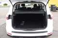 Ford S-Max 2,5 Hybrid TREND * NAVI * SHZ * KAMERA Weiß - thumbnail 10
