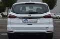 Ford S-Max 2,5 Hybrid TREND * NAVI * SHZ * KAMERA Weiß - thumbnail 8