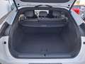 Xpeng G6 Performance AWD Weiß - thumbnail 9