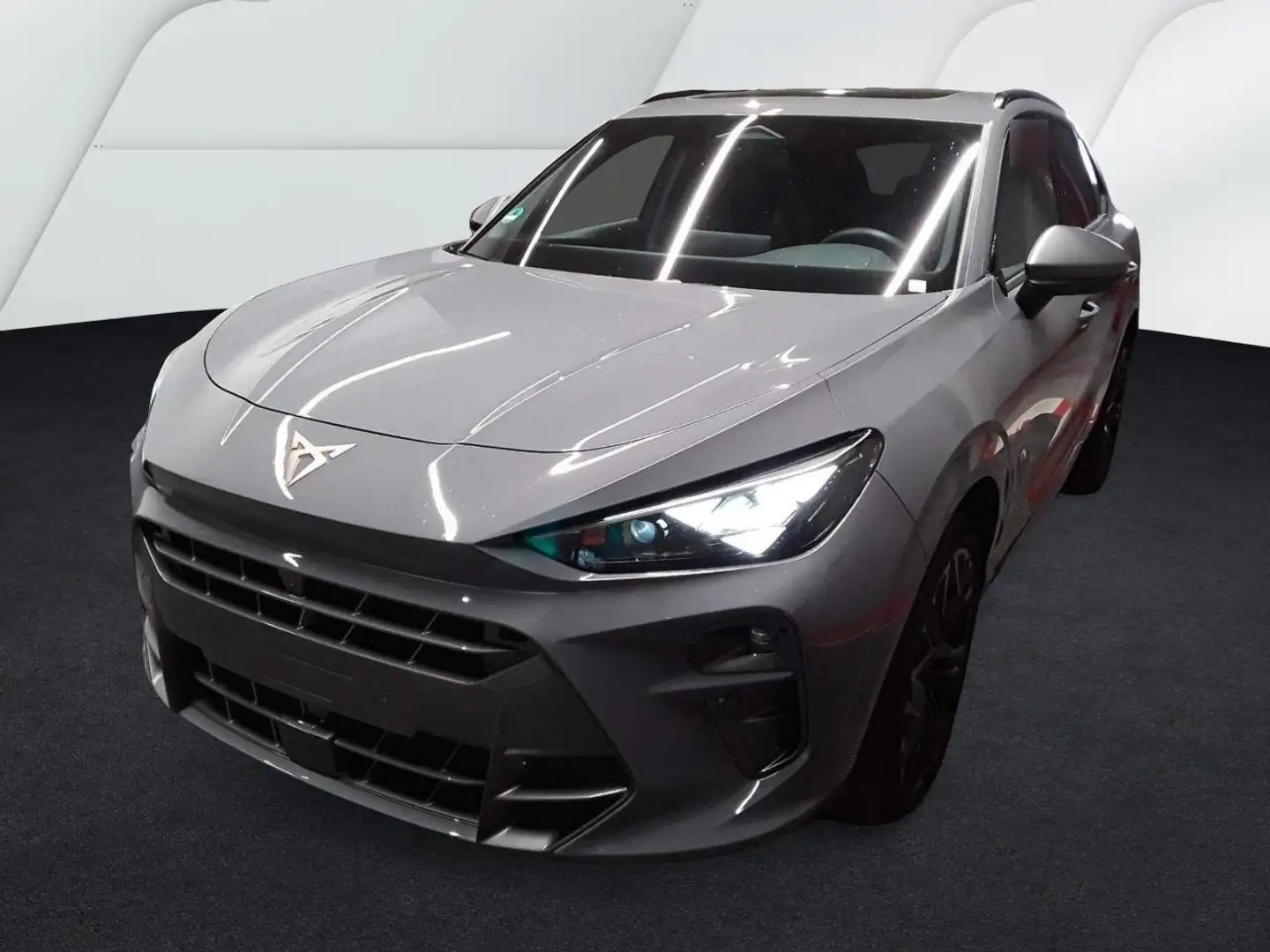 CUPRA Terramar VZ/360°/DAB/MATRIX/AHK Grau - 1