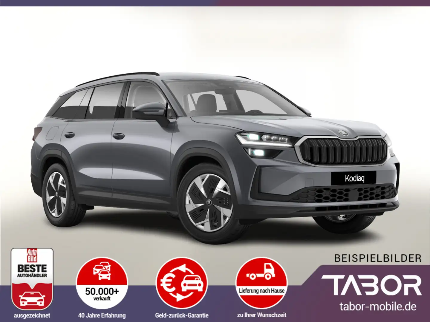 Skoda Kodiaq TDI 193 DSG 4x4 Selec AHK Matrix Nav ACC Grigio - 1