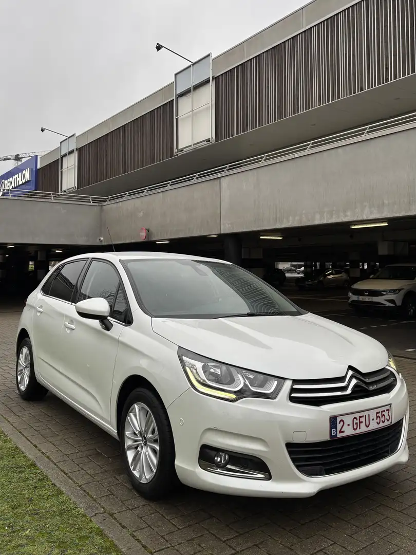 Citroen C4 1.6 BlueHDi Business GPS S&S (Fleet) Blanc - 1