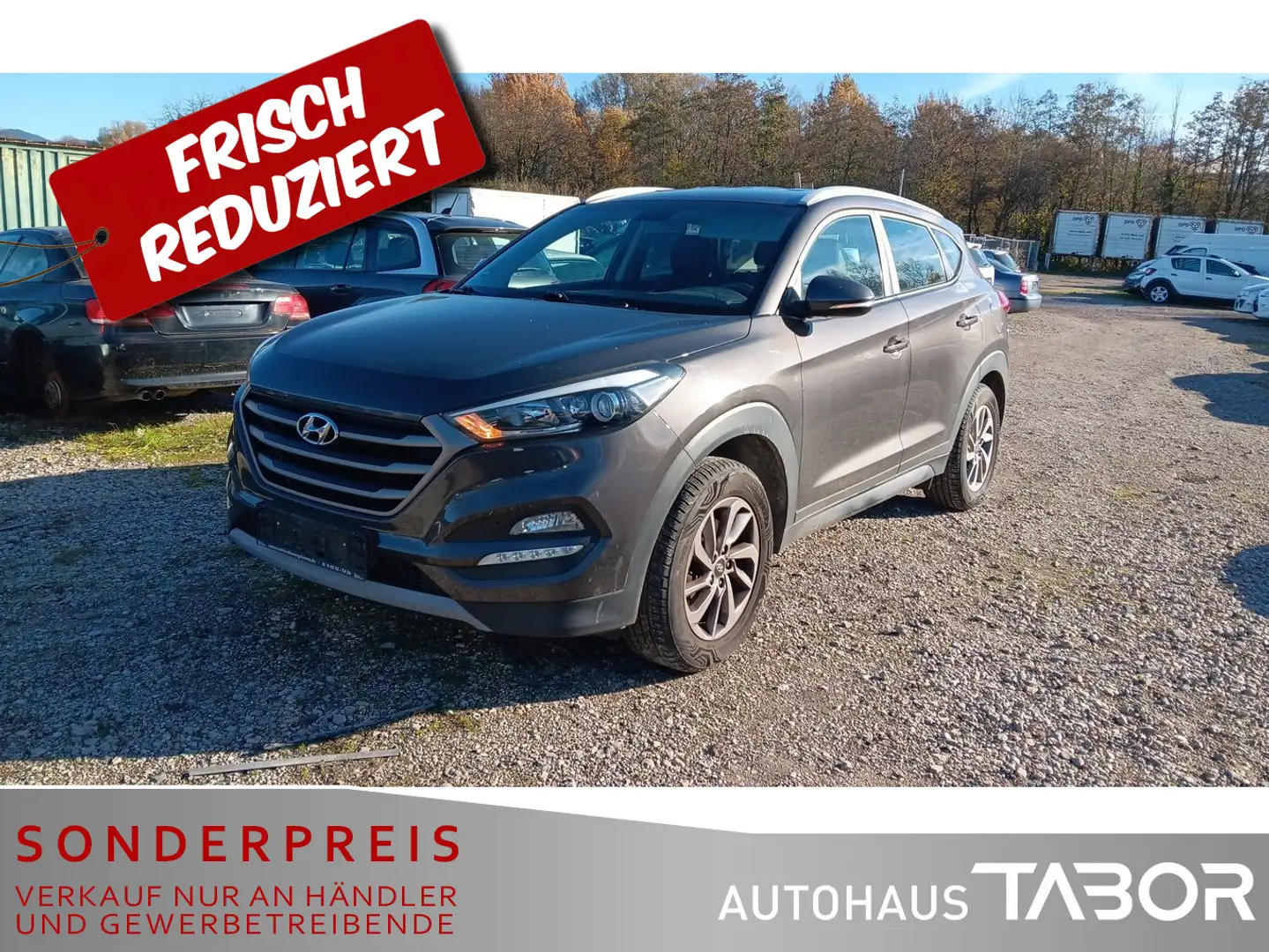 Hyundai TUCSON 1.6 Pure 2WD Navi AHK LM PDC MFL Braun - 1
