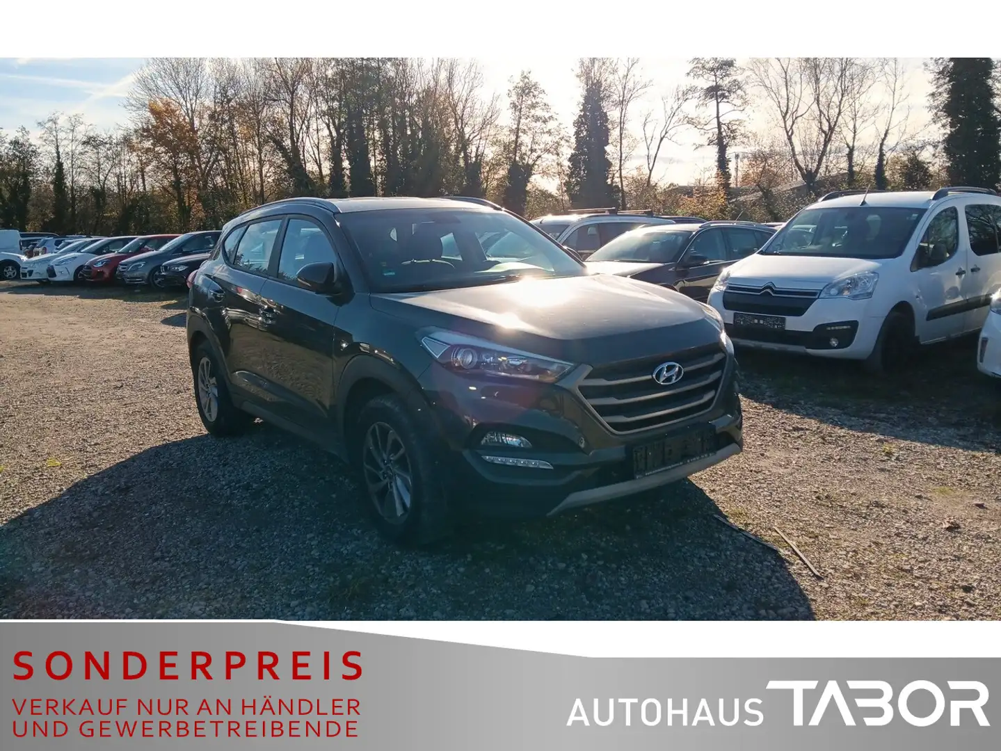 Hyundai TUCSON 1.6 Pure 2WD Navi AHK LM PDC MFL Braun - 2