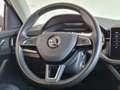 Skoda Kamiq 1.0 TSI Greentech 115pk DSG-7 Business Edition NAV Grijs - thumbnail 15