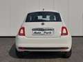 Fiat 500 1.0 GSE Hybrid NAVI~PDC~APP~GRA~ALU~MFL~NSW Weiß - thumbnail 6
