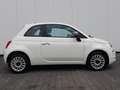 Fiat 500 1.0 GSE Hybrid NAVI~PDC~APP~GRA~ALU~MFL~NSW Weiß - thumbnail 8