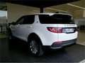 Land Rover Discovery Sport 2.0D I4-L.Flw 150 PS AWD MHEV Auto S - thumbnail 7