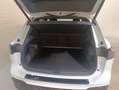 Volkswagen Tiguan R-Line TDI 4MOTION DSG Weiß - thumbnail 6