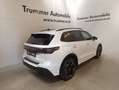 Volkswagen Tiguan R-Line TDI 4MOTION DSG Weiß - thumbnail 3