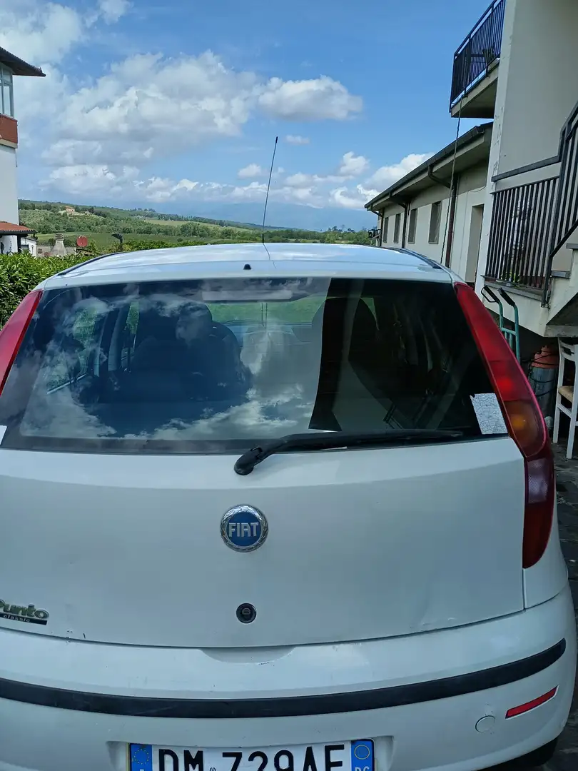 Fiat Punto 3p 1.2 Classic - 2
