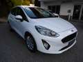 Ford Fiesta Fiesta 5p 1.5 ecoblue Cool & Connect *CARPLAY*LED* Bianco - thumbnail 3