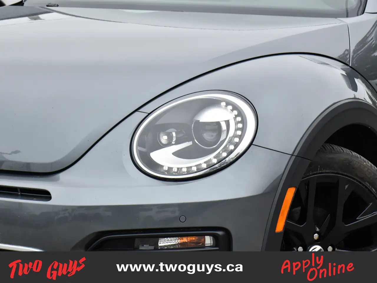 Volkswagen Beetle снимка Volkswagen Beetle