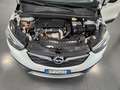 Opel Crossland X Crossland X 1.6 ecotec Innovation s+UNICO PROPRIET Bianco - thumbnail 12