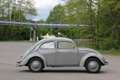 Oldtimer Volkswagen VW Brezel Käfer Typ 11A "Standard"! Grau - thumbnail 4