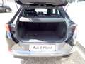 CUPRA Formentor 2,0 TDI 4Drive Cupra DSG Schwarz - thumbnail 10