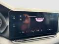 Skoda Octavia Ambition TDI Grau - thumbnail 18