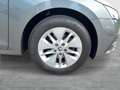 Skoda Octavia Ambition TDI Grau - thumbnail 8
