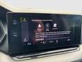 Skoda Octavia Ambition TDI Grau - thumbnail 17