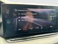 Skoda Octavia Ambition TDI Grau - thumbnail 19