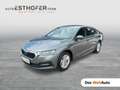 Skoda Octavia Ambition TDI Grau - thumbnail 1