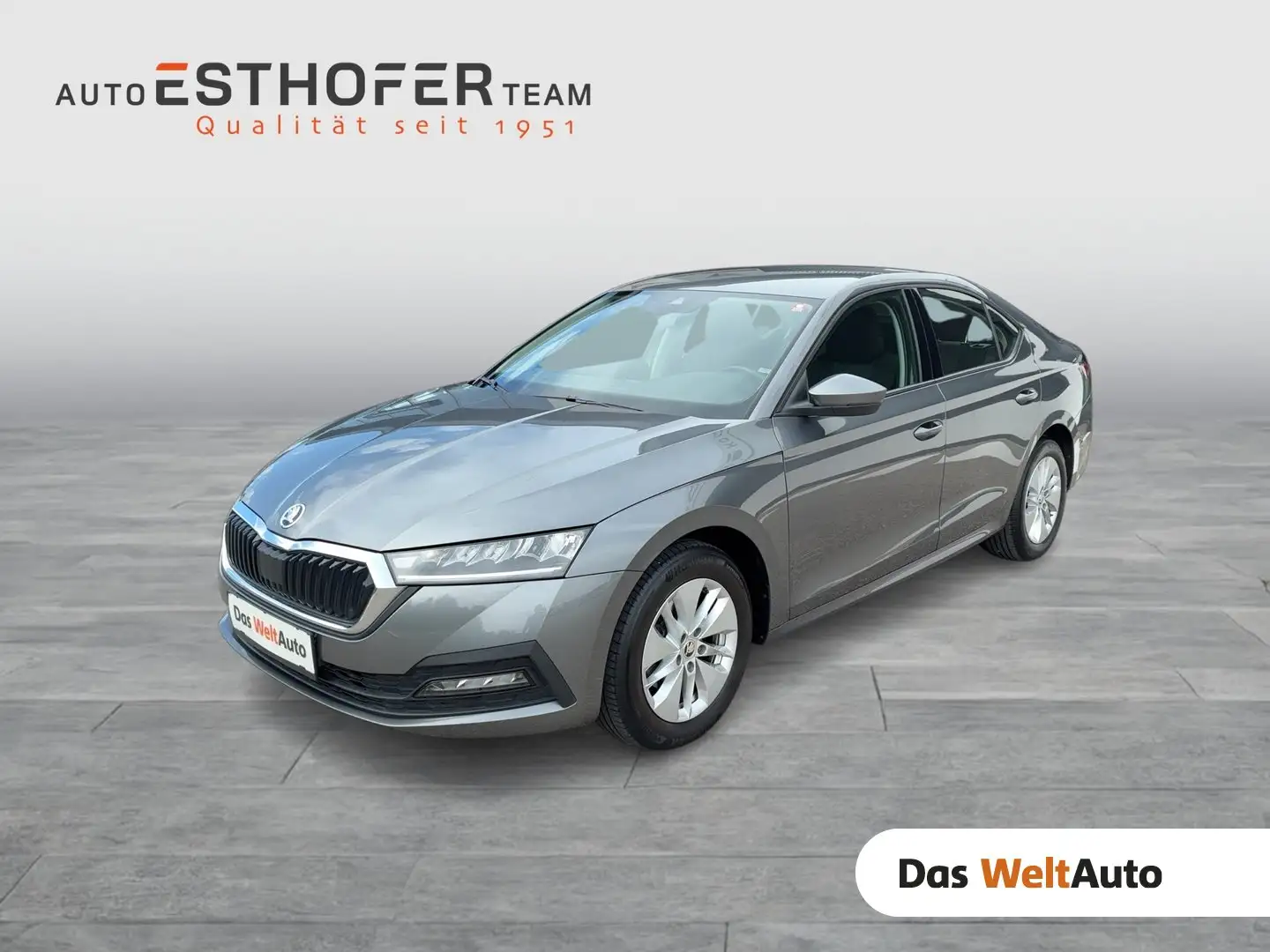 Skoda Octavia Ambition TDI Grau - 1