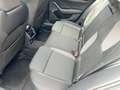 Skoda Octavia Ambition TDI Grau - thumbnail 12