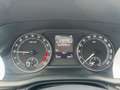 Skoda Octavia Ambition TDI Grau - thumbnail 10