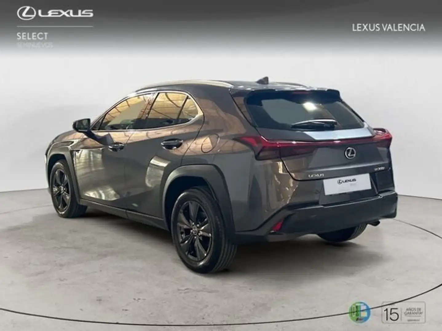 Lexus UX 300h + Gris - 2