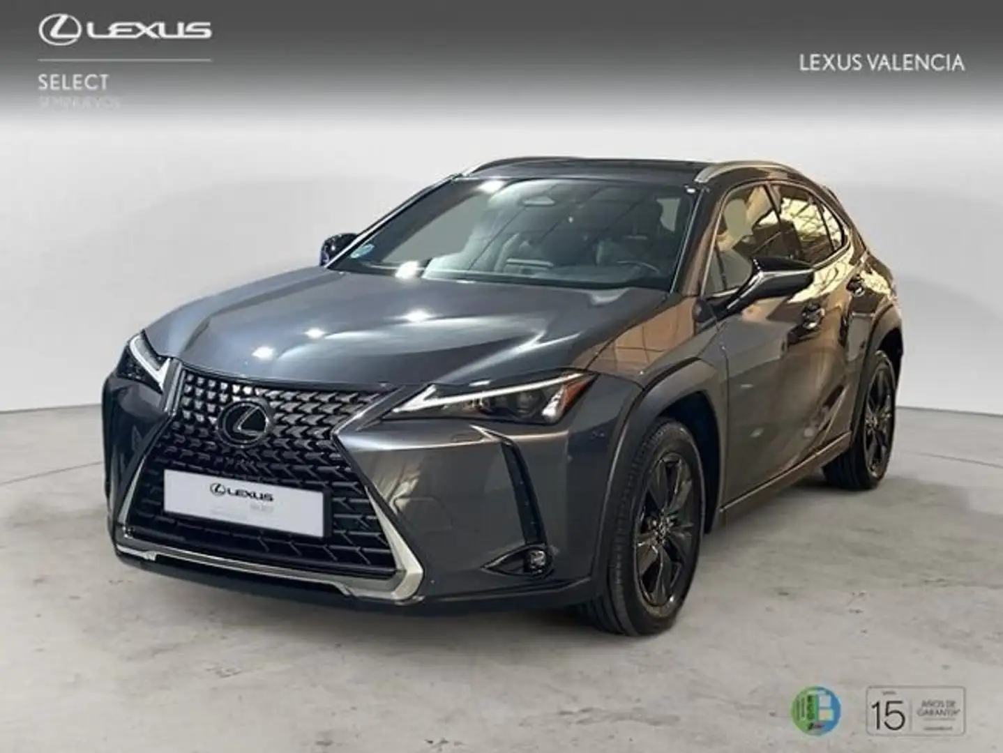 Lexus UX 300h + Gris - 1