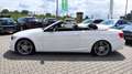 BMW 330 d Cabrio Edition M-Paket +Harman K+NAVI+Xenon Weiß - thumbnail 22