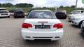 BMW 330 d Cabrio Edition M-Paket +Harman K+NAVI+Xenon Weiß - thumbnail 5