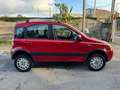 Fiat Panda Fiat Panda 4x4 1.2 Climbing 69cv Rouge - thumbnail 8