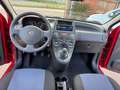 Fiat Panda Fiat Panda 4x4 1.2 Climbing 69cv Rouge - thumbnail 11
