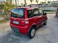 Fiat Panda Fiat Panda 4x4 1.2 Climbing 69cv Rouge - thumbnail 7