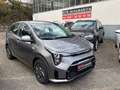 Kia Picanto 1.2 Vision Navi Shz RCam Grau - thumbnail 1