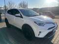 Toyota RAV 4 4 Hybrid Executive 4x4 / Bi-LED / ACC / BLIS Weiß - thumbnail 3