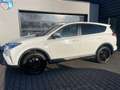 Toyota RAV 4 4 Hybrid Executive 4x4 / Bi-LED / ACC / BLIS Weiß - thumbnail 6