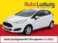 Ford Fiesta Titanium 1,0 Start/Stop *PARK PILOT*SHZ*KLIMA* Weiß - thumbnail 1