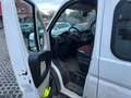 Fiat Ducato 180 Power (Rs: 4035 mm) L5-3.0 Diesel, Pritsche, 7 White - thumbnail 7