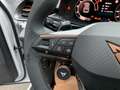 CUPRA Terramar VZ 1.5 e-Hybrid 272 PS 6-Gang-DSG Weiß - thumbnail 22