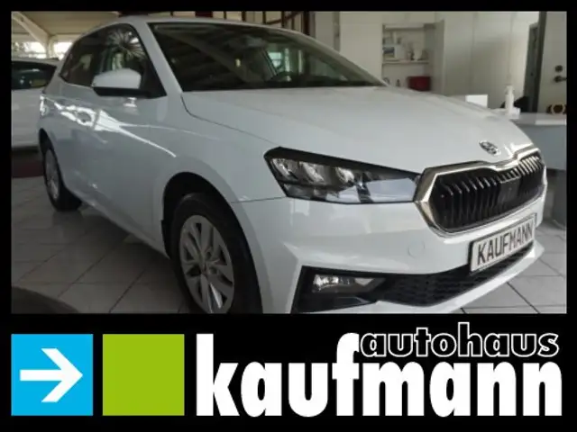 Skoda Fabia FABIA STYLE 110 PS DSG SHZ PDC APP TEMPOMAT LMF